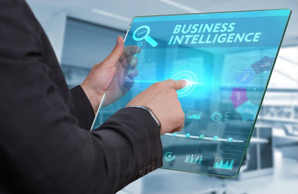 Business Intelligence Analyst